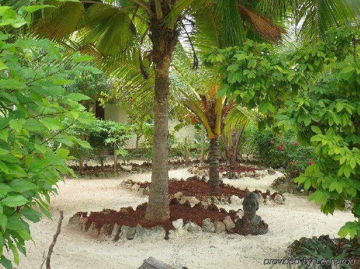 Pakachi &