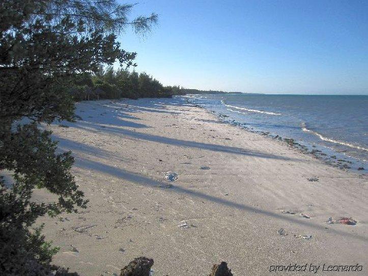 Pakachi & Jambiani (Zanzibar)