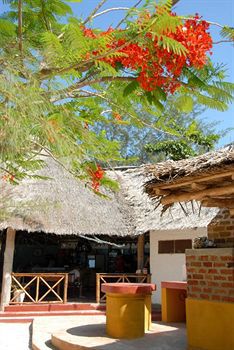 Pakachi & Jambiani (Zanzibar)
